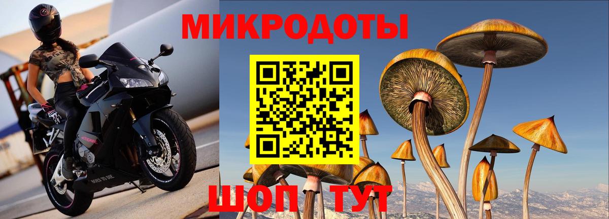 Воткинск  Галлюциногенные грибы ЛСД  Вход с VPN 