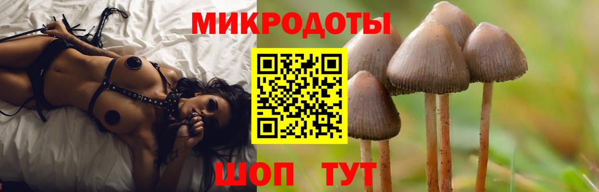 Галлюциногенные грибы прущие грибы Воткинск